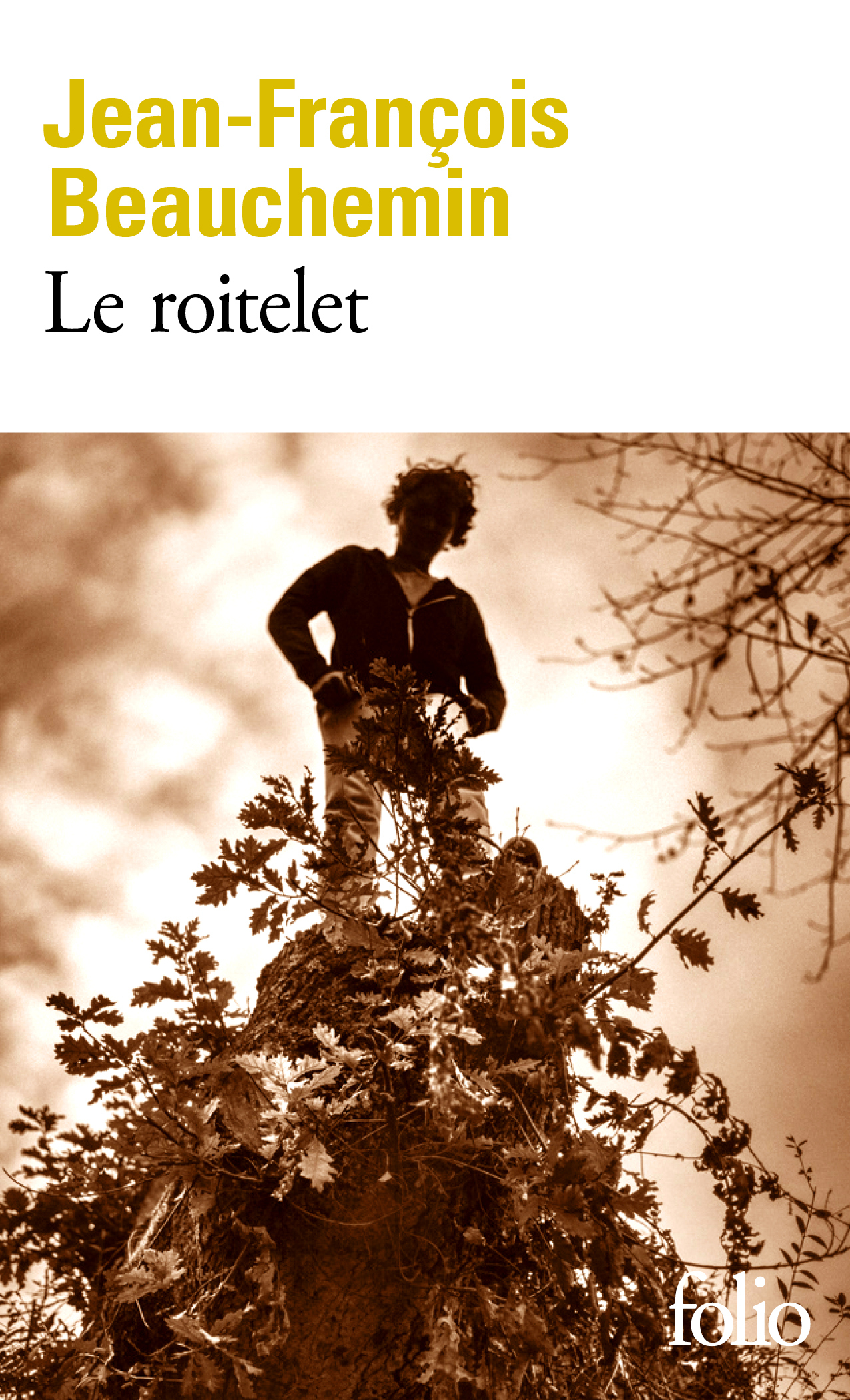 Le roitelet - Jean-François Beauchemin - FOLIO