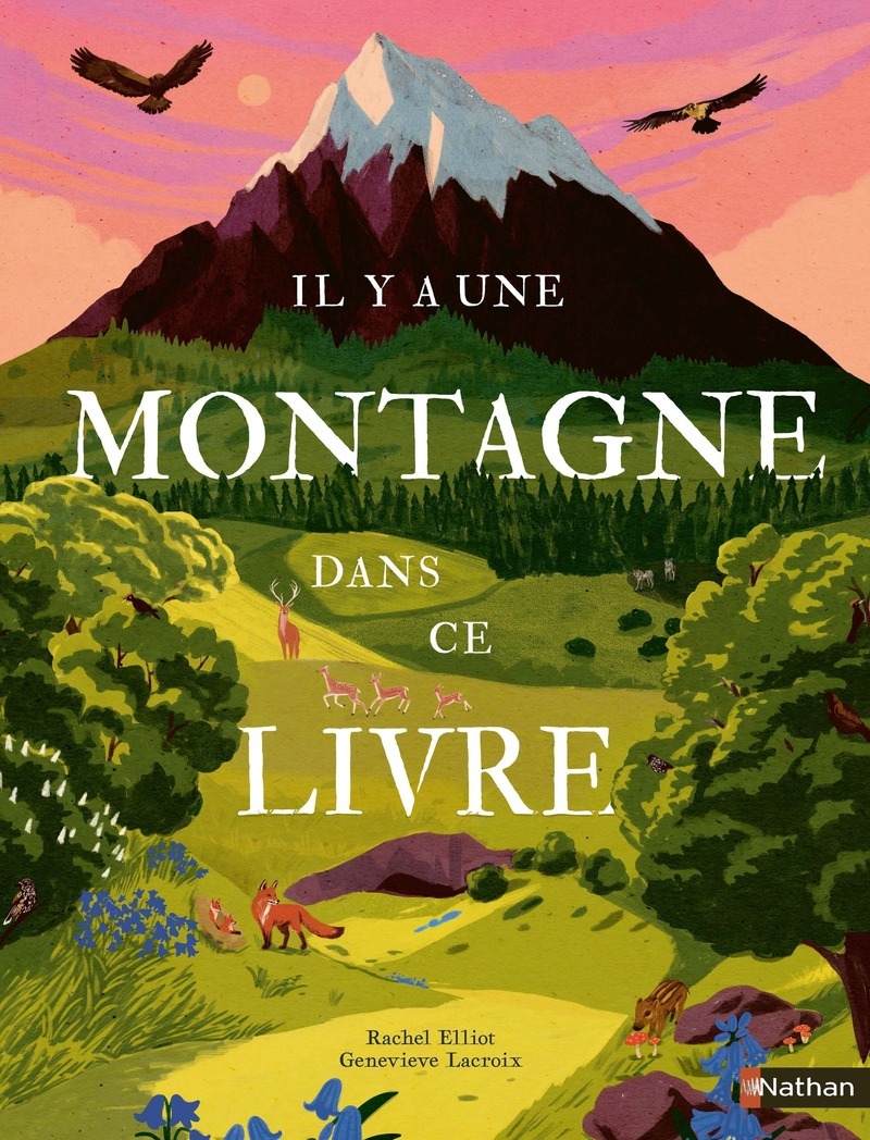 Il y a une montagne dans ce livre - Rachel Elliot, Geneviève Lacroix, Jon Cannell - NATHAN