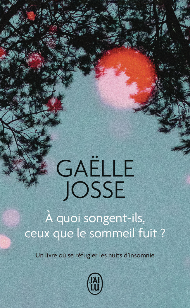 À quoi songent-ils, ceux que le sommeil fuit ? - Gaëlle JOSSE - J'AI LU