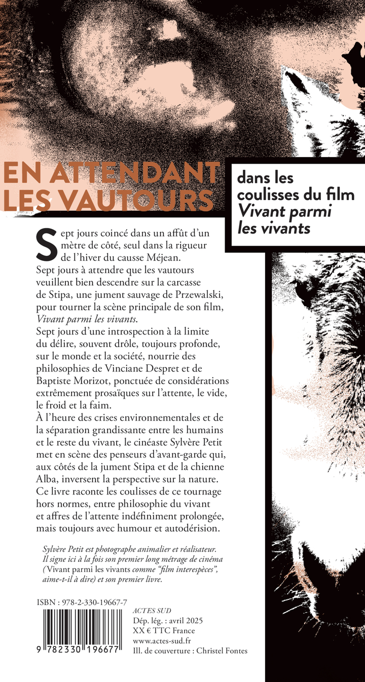 En attendant les vautours - Sylvère Petit, Vinciane Despret, Baptiste Morizot - ACTES SUD