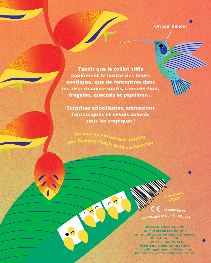 Drôles de rencontres dans les airs -  COSNEAU OLIVIA/DUISIT BERNARD - HELIUM