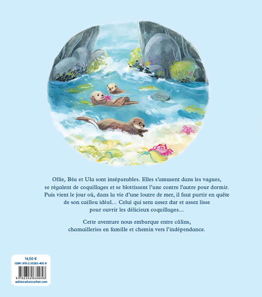 Le Caillou idéal - Sarah NOBLE - RICOCHET