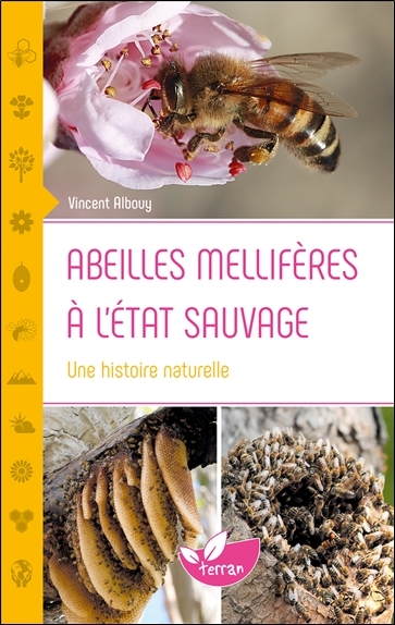 Abeilles mellifères à l'état sauvage - Une histoire naturelle - Vincent Albouy - DE TERRAN