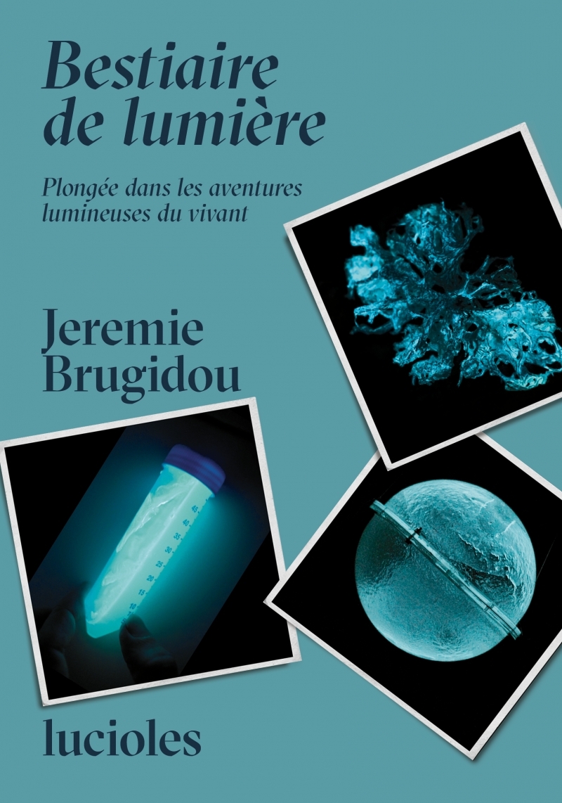 Bestiaire de Lumière - Plongée dans les aventures lumineuses - Jeremie Brugidou - OGRE
