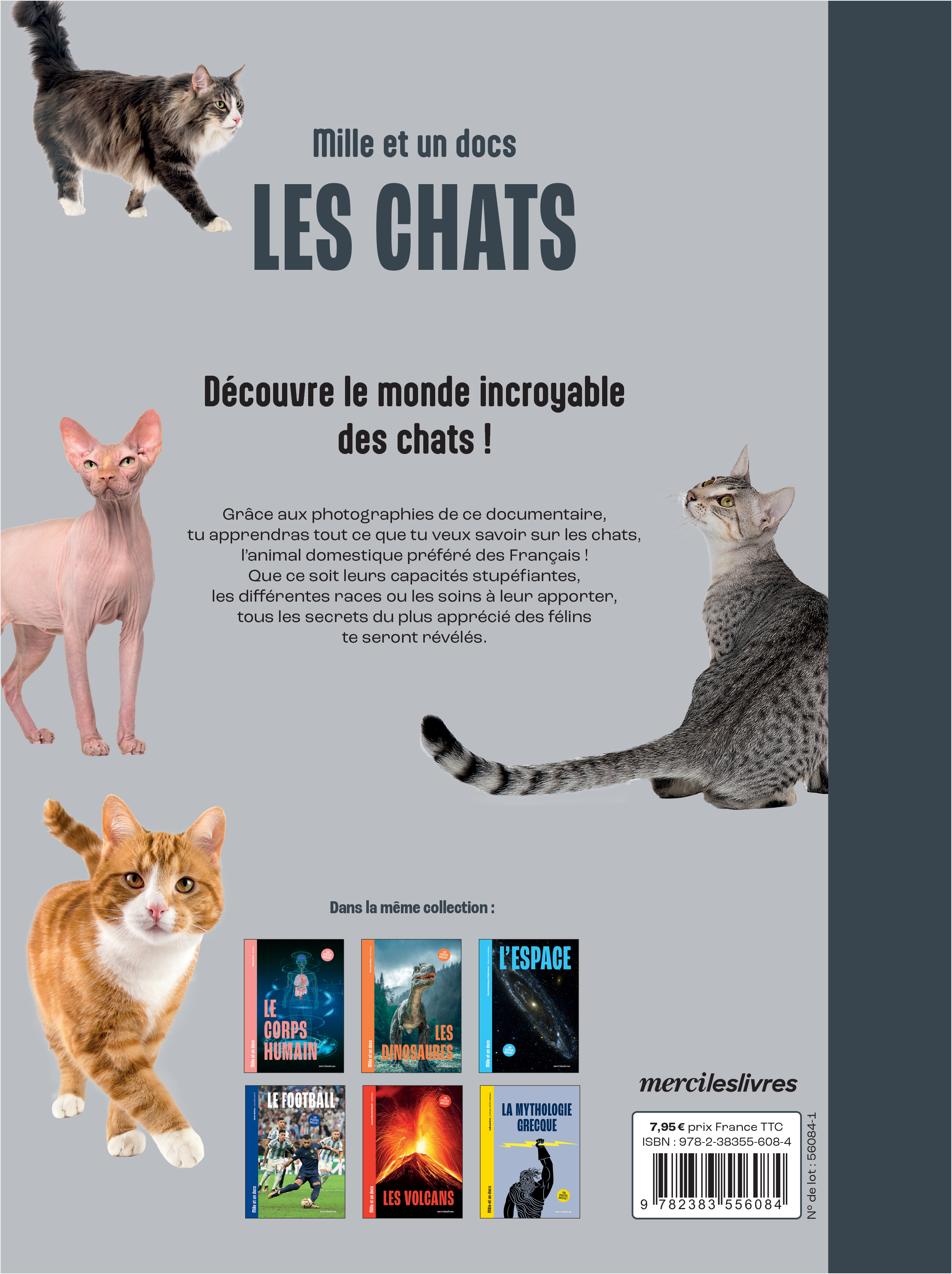 Les Chats - Mille et un docs - Pierre Bessiere - MERCILESLIVRES
