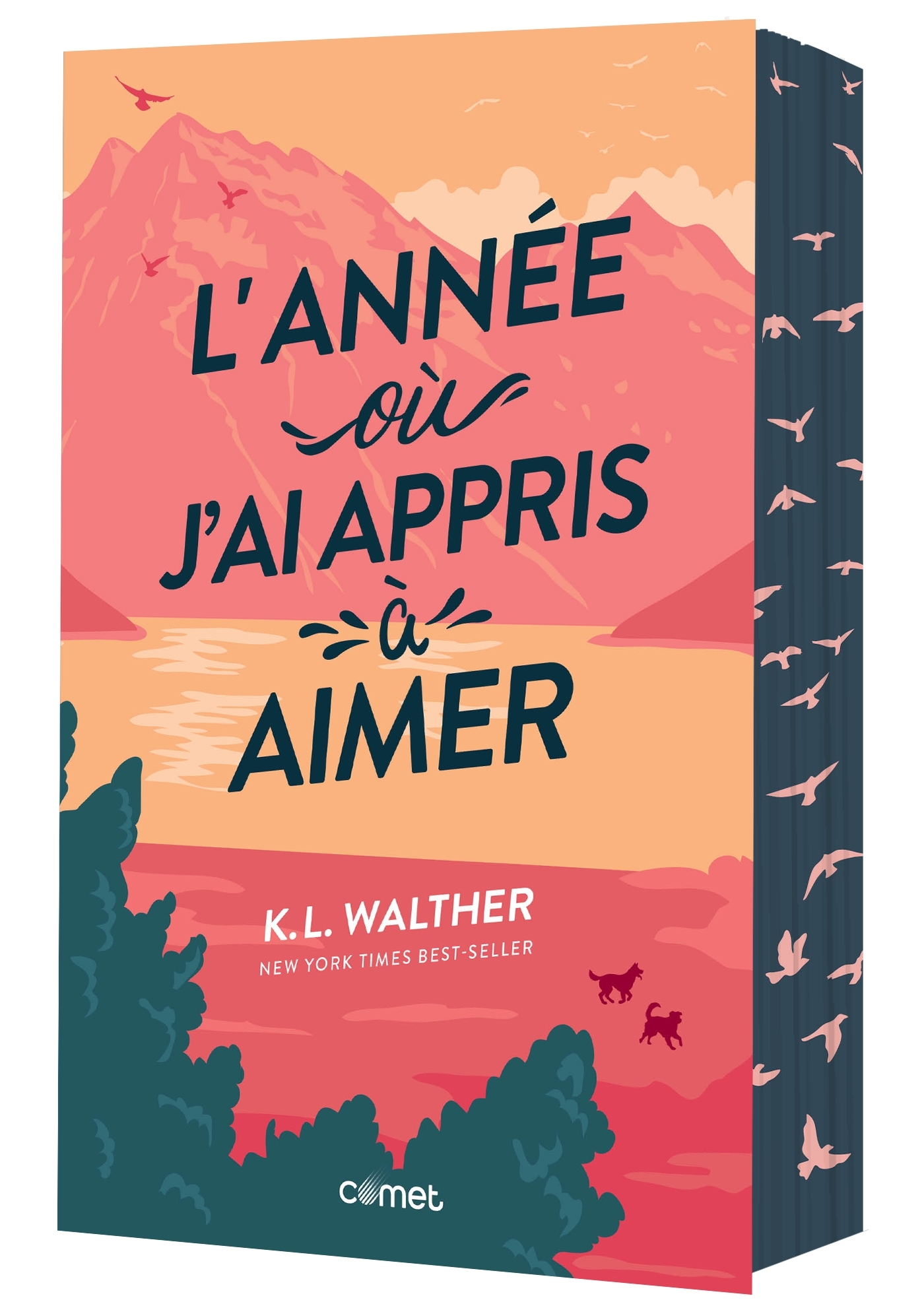 L'année où j'ai appris à aimer - K.L. Walther - COMET