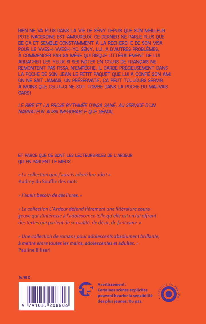 Try Again - Insa Sané - THIERRY MAGNIER