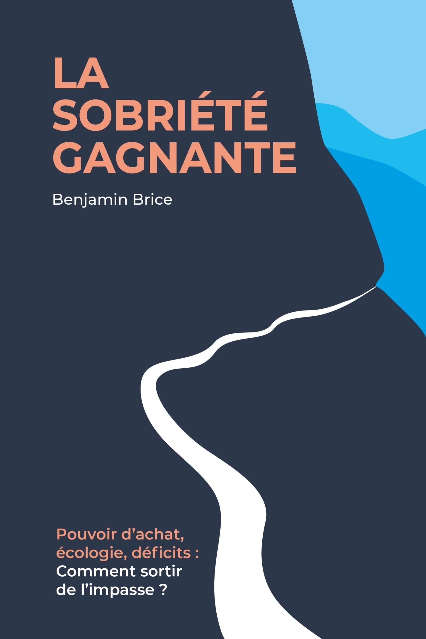 La sobriété gagnante - Benjamin Brice - LIBRINOVA