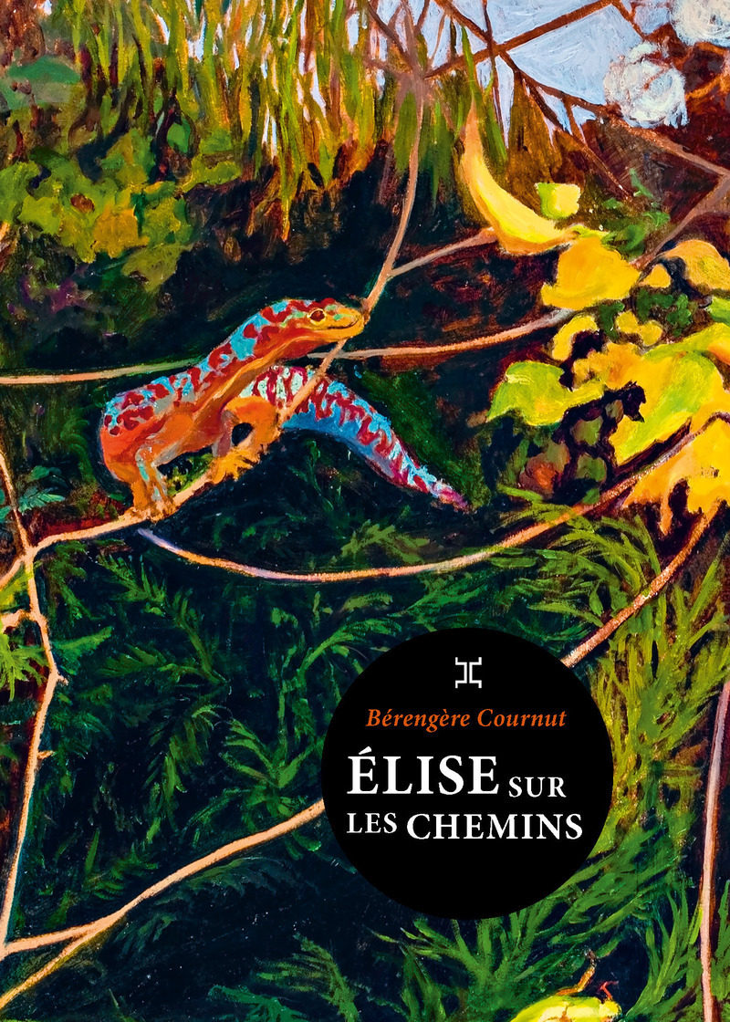 Elise sur les chemins - Bérengère Cournut - LE TRIPODE