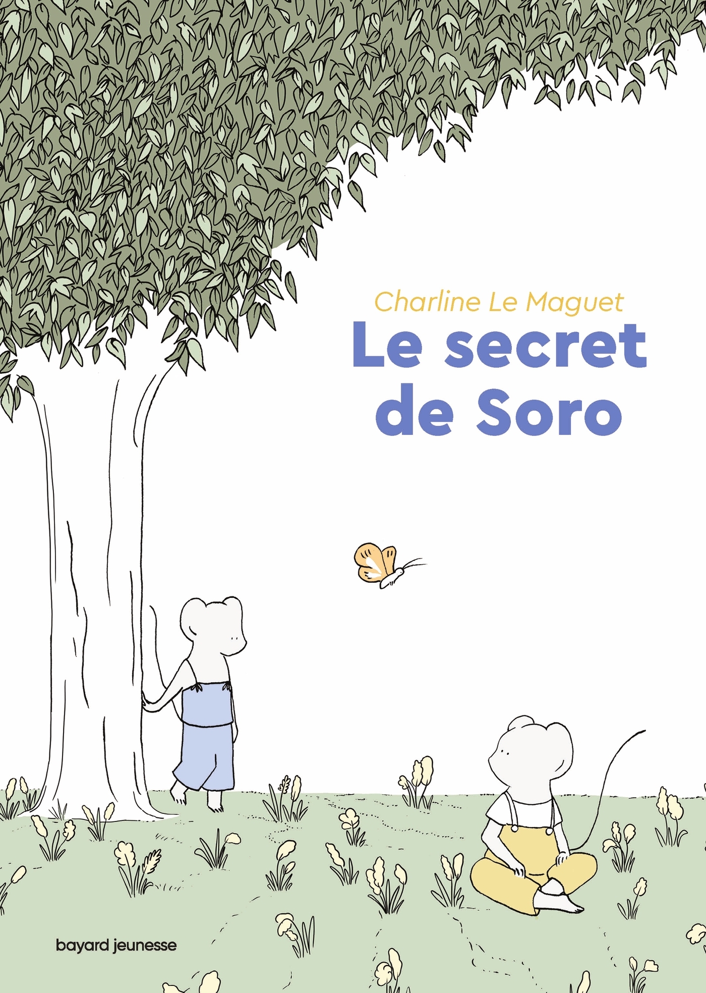 Le secret de Soro - LE MAGUET CHARLINE - BAYARD JEUNESSE