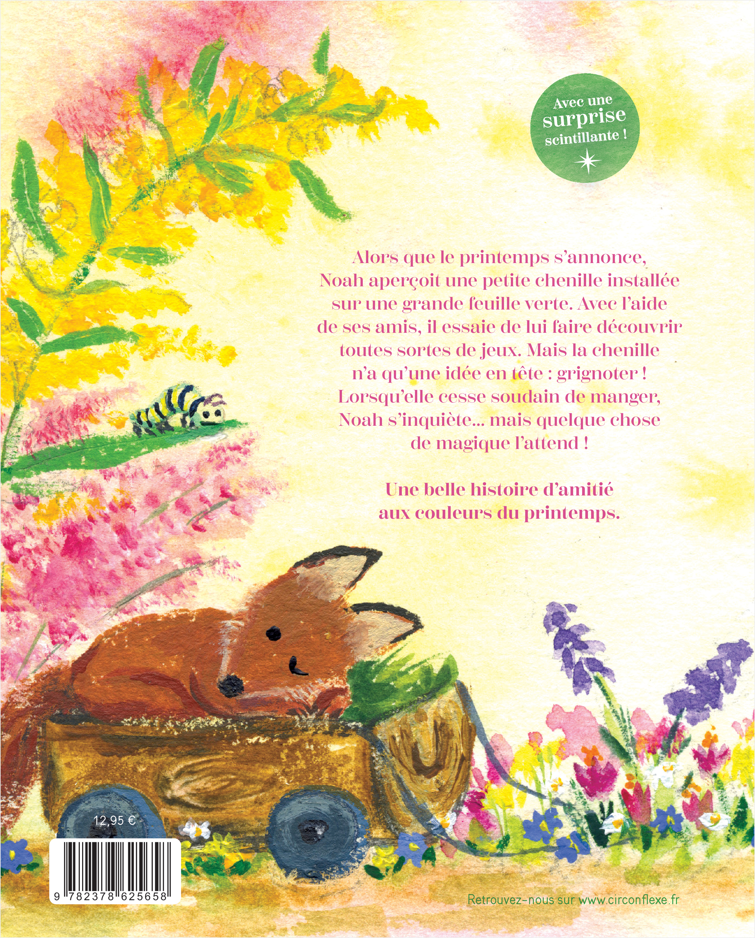 Noah et le secret de la chenille - Julia Rawlinson - CIRCONFLEXE