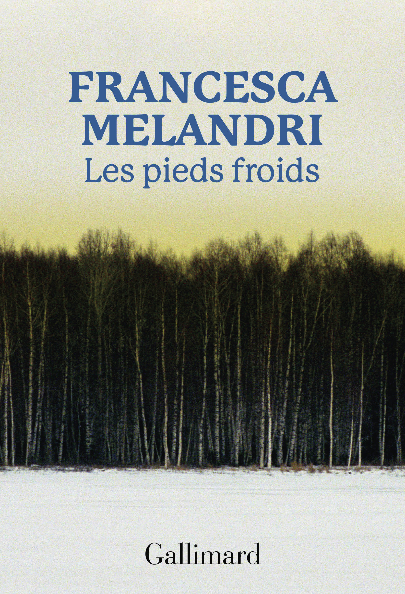 Les pieds froids - Francesca Melandri - GALLIMARD