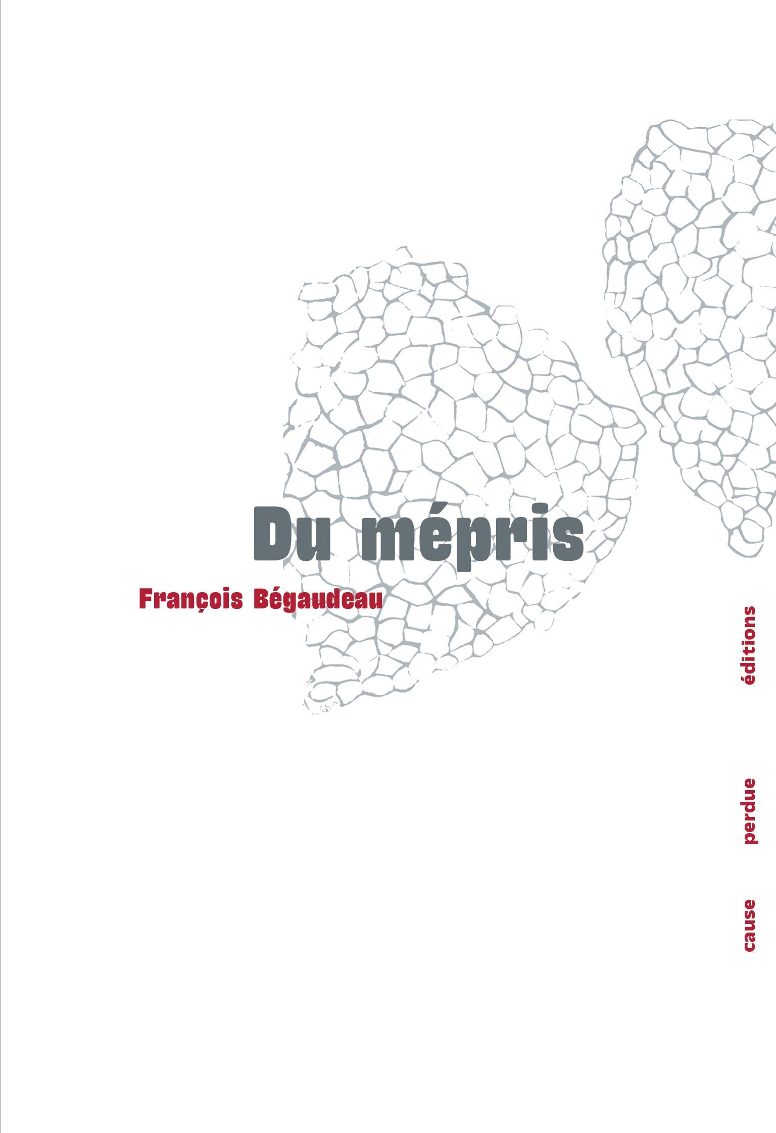 Du mépris -  BÉGAUDEAU, François  - CAUSE PERDUE