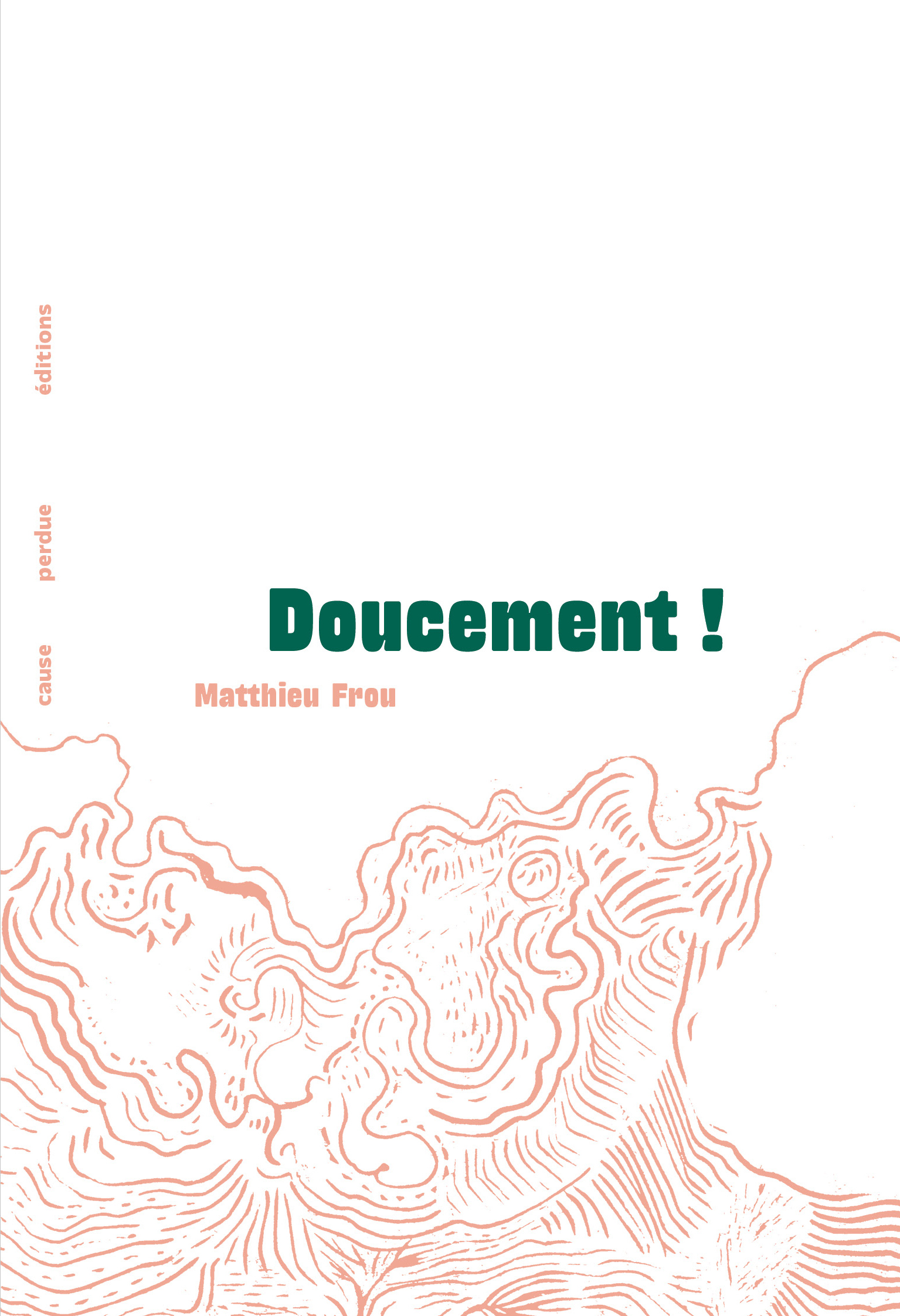 Doucement ! -  FROU, Matthieu  - CAUSE PERDUE