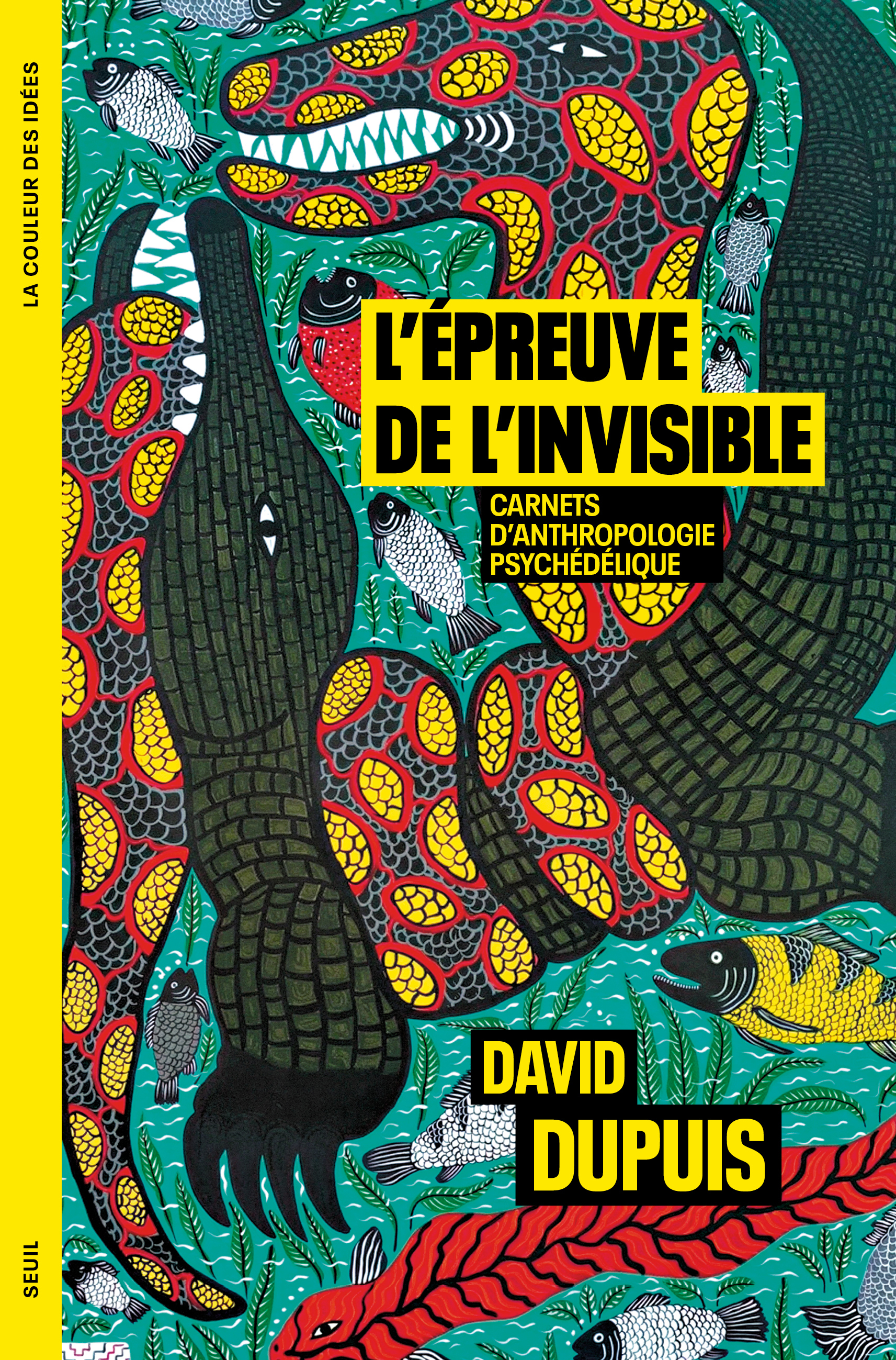 L'Épreuve de l'invisible - David Dupuis - SEUIL
