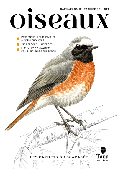 Les carnets du scarabée - Oiseaux - Raphaël Sane, Fabrice Schmitt - TANA