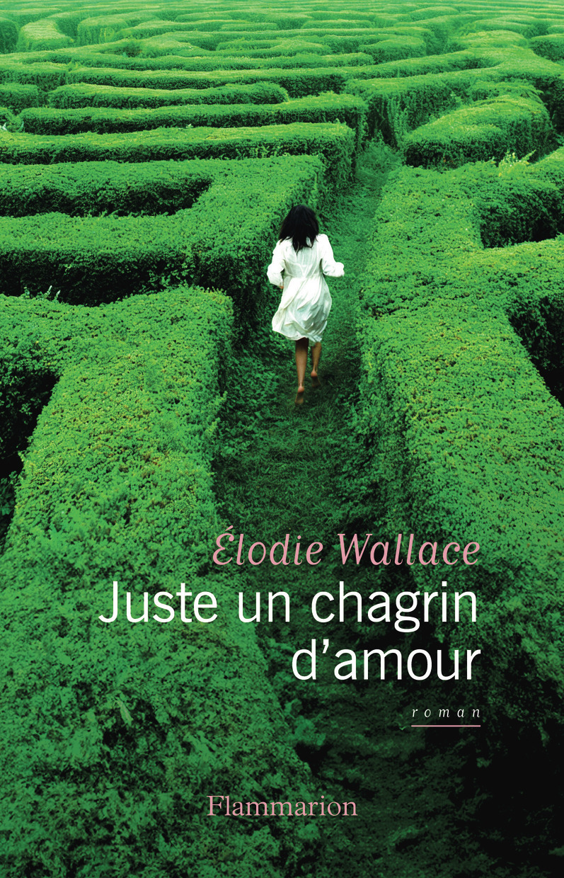 Juste un chagrin d'amour - ELODIE WALLACE - FLAMMARION